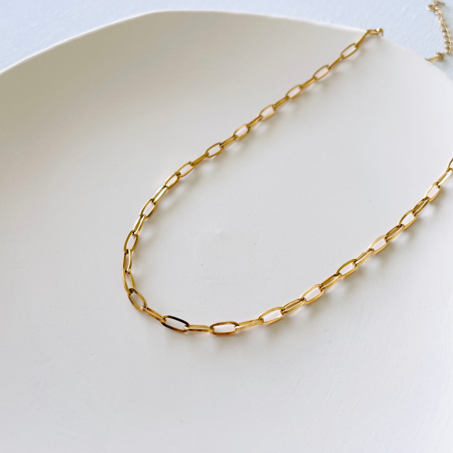 Zoe Small Chain-Link Necklace