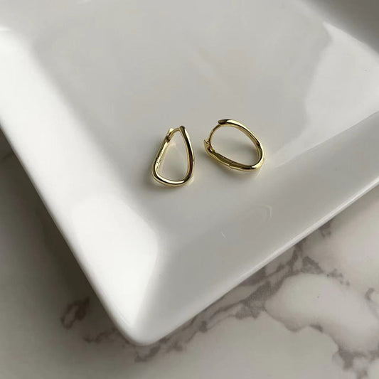 a pair of gold hoop earrings
